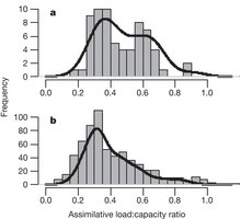 Figure 2: Histograms showing bioenergetics estimates of integrated consumption rates in wild piscine predators, expressed as the assimilative load:capacity ratio.