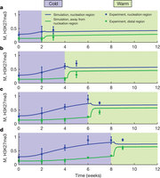 Figure 3: Fitting model output to experimental ChIP data.
