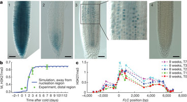 Figure 4: Validating model predictions.