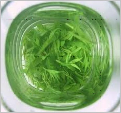 或可降低金黄色葡萄球菌(MRSA)鼻腔携带风险——茶