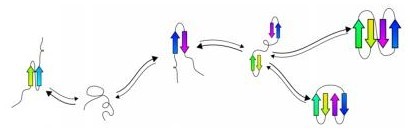 This graphic shows the process of predicting protein folding.