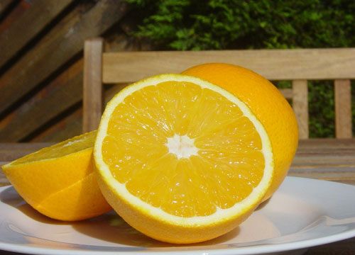 研究人员称柑橘中β－玉米黄质的物质有抗衰老作用