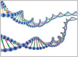 从白血病患者基因组中比对出突变基因