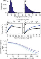 Figure 1: Results from a simulation model exploring the energetic profitability of excess capacity for assimilation as a function of the daily variation in foraging opportunity.