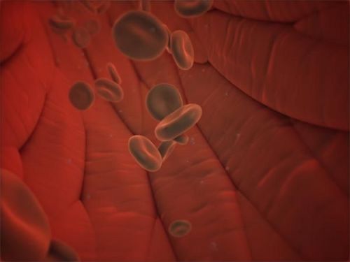 胚胎干细胞 血管