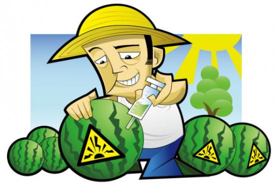 膨大增甜剂让西瓜变“炸弹”