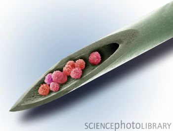 干细胞疗法概念图