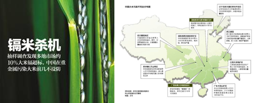 在这次镉污染事件以前，曾有媒体对国内大米镉超标的问题做过专题报道。调查显示，国内的重金属污染在南方诸省尤为密集。图/财新网