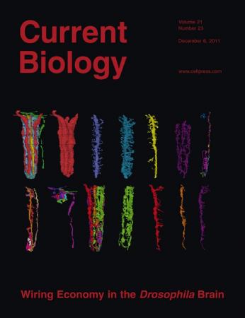 家庭暴力会增加孩子患焦虑症的风险