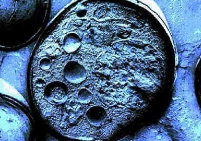 韩忠朝:让干细胞技术点亮生命的曙光