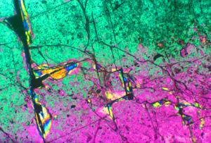 Neural network