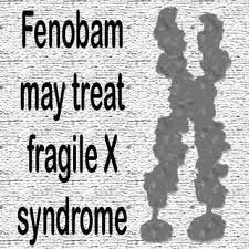 fragile X syndrome