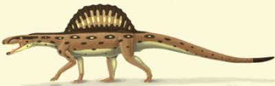 This is a reconstruction of X. sapingensis, based on the fossil.