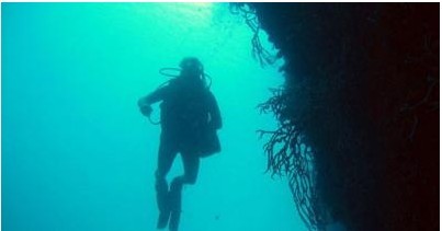 William Gerwick seeks marine organisms with biomedical potential in Papua New Guinea in 2006.