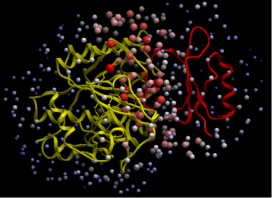  protein–protein  interaction