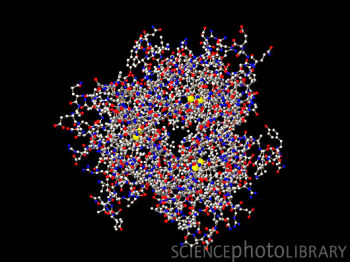 TNF是肿瘤坏死因子-α(Tumor Necrosis Factor)的简写,是一种能够直接杀伤肿瘤细胞而对正常细胞无明显毒性的细胞因子,