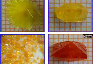 生物降解聚合物囊泡担载血红蛋白