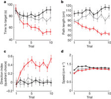Flies were trained with a coupled visual panorama (red; n = 33 experiments, 495 flies),