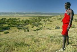 最新研究支持"草原说" 人类在草原学会直立行走