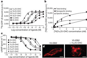 Figure 1: Identification and pharmacological characterization of oxysterols as ligands for EBI2.
