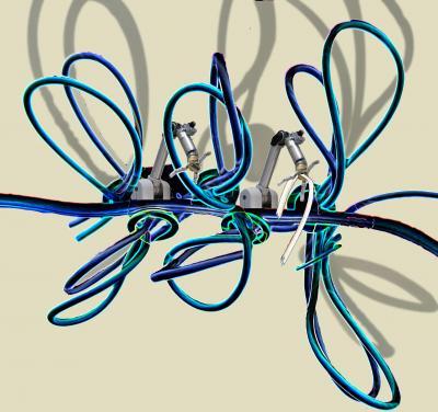 与DNA“断裂器”结合的染色体序列