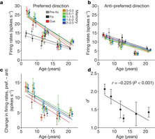 Figure 2: Age-dependent decline in the spatially tuned, persistent firing of dorsolateral PFC DELAY neurons.